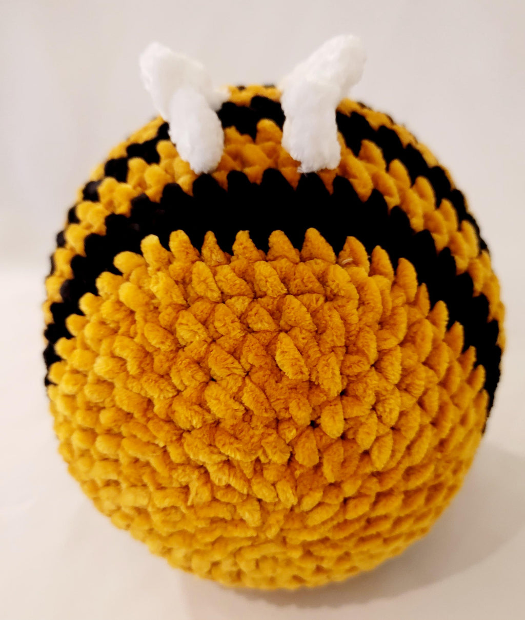 Yellow and Black Bee with Small White Wings