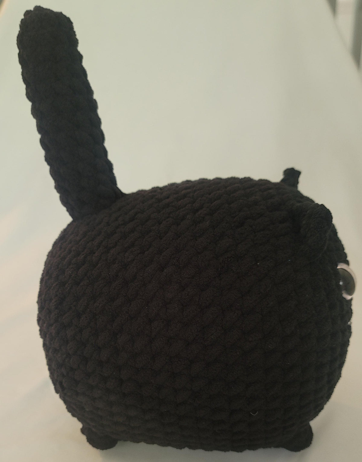 Black Loaf Cat