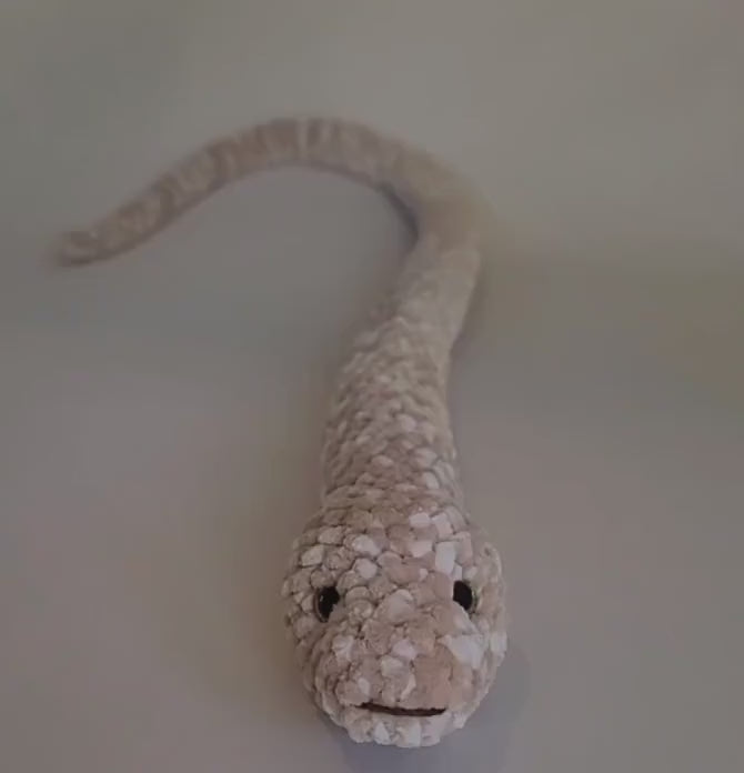 Beige and White Snake