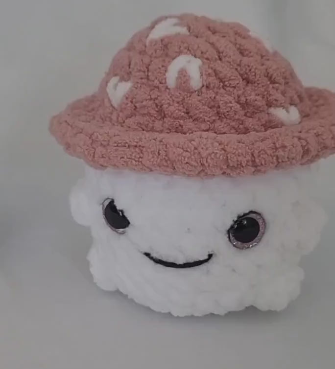 Rose, Multicolor and White Mushroom