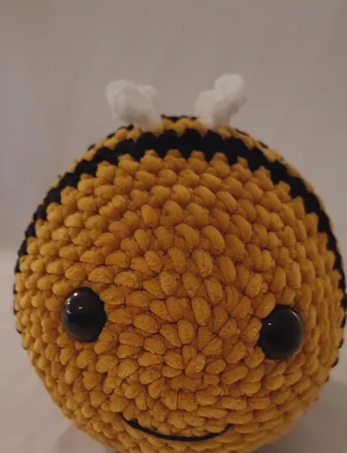 Yellow and Black Bee with Small White Wings